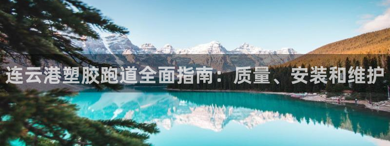 尊龙凯时美金能提取吗：连云港塑胶跑道全面指南：质量、