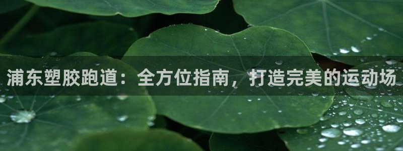 尊龙人生就是博官网登录手机：浦东塑胶跑道：全方位指南