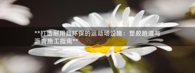 尊龙凯时登陆网址：**打造耐用且环保的运动场设施：塑