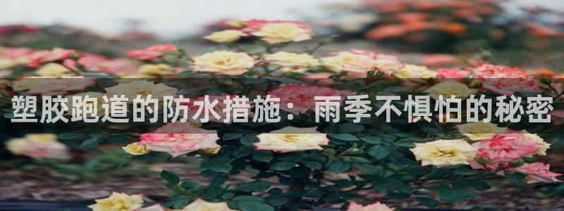 香港尊龙：塑胶跑道的防水措施：雨季不惧怕的秘密