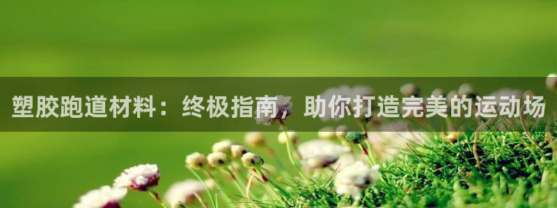 尊龙官网手：塑胶跑道材料：终极指南，助你打造完美的运