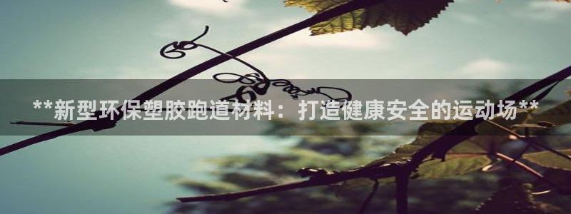 下载尊龙：**新型环保塑胶跑道材料：打造健康安全的运动场**