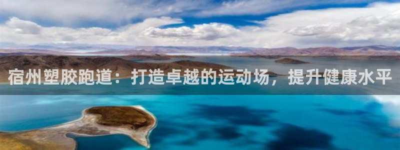 尊龙人生就是博客服：宿州塑胶跑道：打造卓越的运动场，提升健康水平
