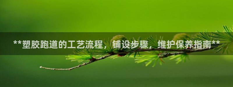 尊龙am i blue：**塑胶跑道的工艺流程，铺设步骤，维护保养指南**