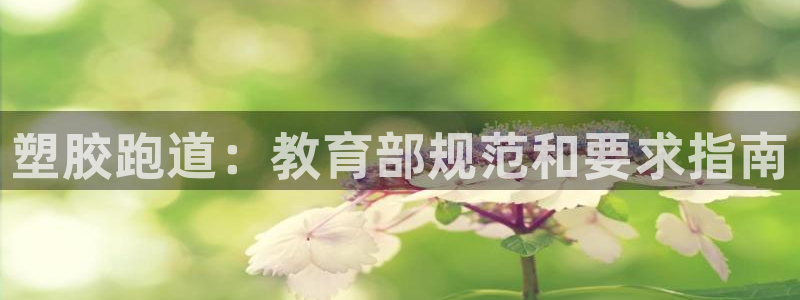 尊龙—人生就是博：塑胶跑道：教育部规范和要求指南