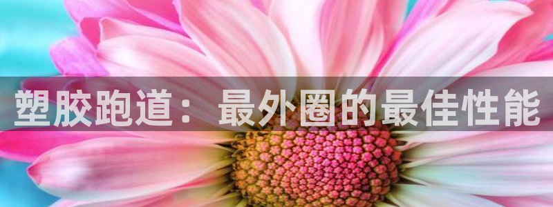 尊龙凯时人生就是博·(中国)官网最新：塑胶跑道：最外