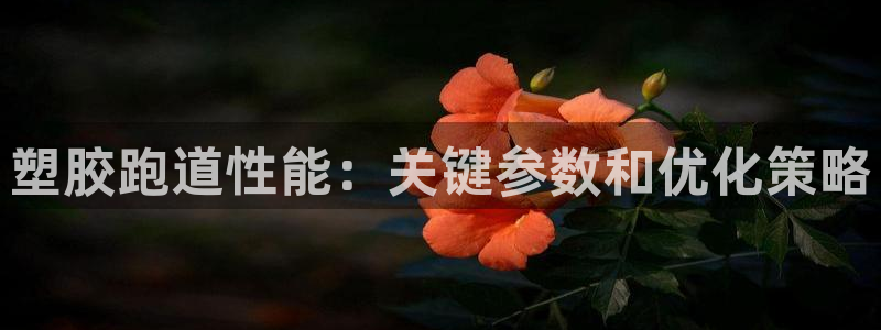 凯时国际app首页：塑胶跑道性能：关键参数和优化策略