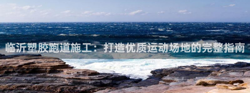 尊龙公司：临沂塑胶跑道施工：打造优质运动场地的完整指南