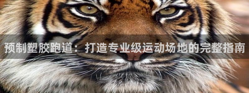 尊龙 6：预制塑胶跑道：打造专业级运动场地的完整指南