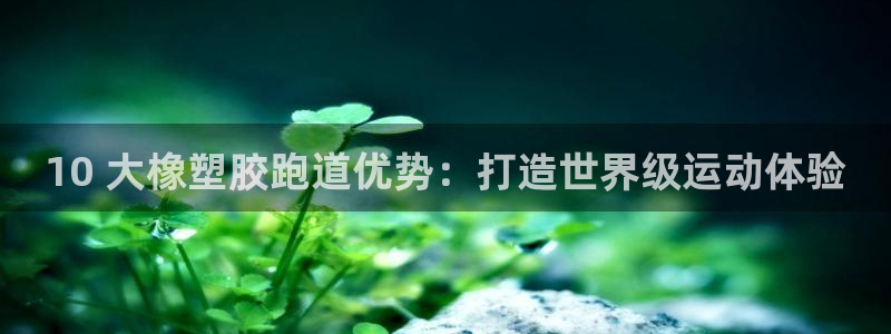 尊龙凯时企业文化：10 大橡塑胶跑道优势：打造世界级运动体验