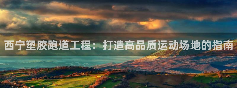 尊龙游戏官方网：西宁塑胶跑道工程：打造高品质运动场地的指南