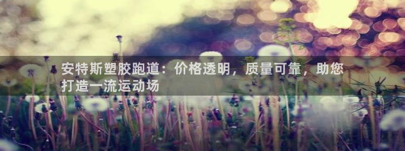 d88尊龙手机客户端下载：安特斯塑胶跑道：价格透明，