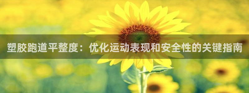 Z6尊龙老版：塑胶跑道平整度：优化运动表现和安全性的