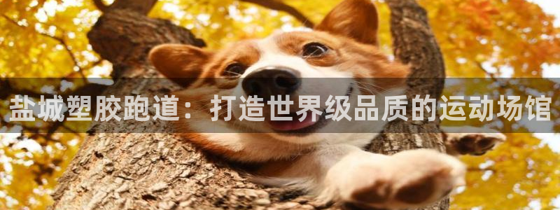 尊龙凯时 - 人生就是搏!提款怎么样：盐城塑胶跑道：