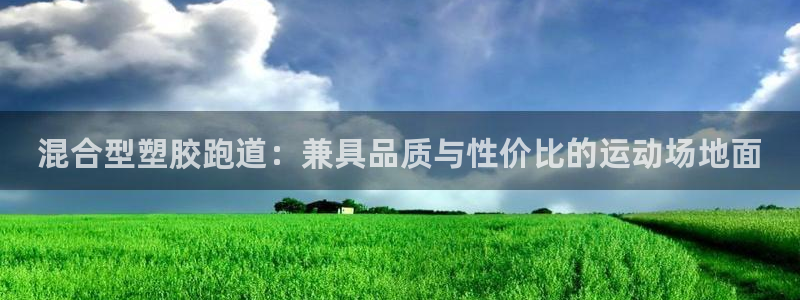 尊龙传奇英文怎么写：混合型塑胶跑道：兼具品质与性价比