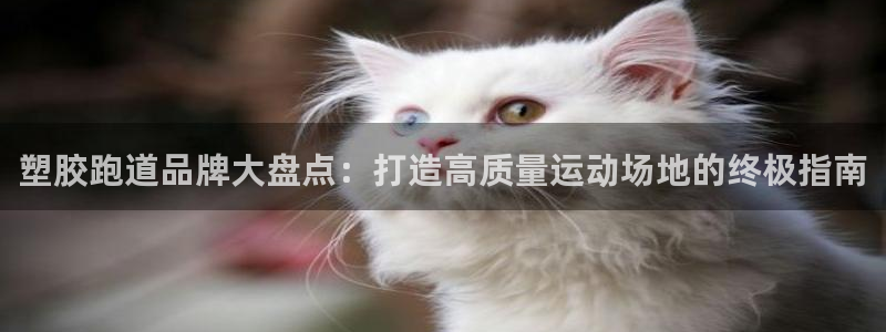 尊龙凯时代理：塑胶跑道品牌大盘点：打造高质量运动场地
