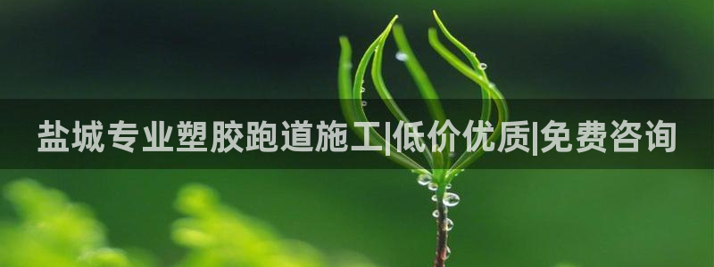 尊龙凯时 - 人生就是搏手机登录：盐城专业塑胶跑道施工|低价优质|免费咨询