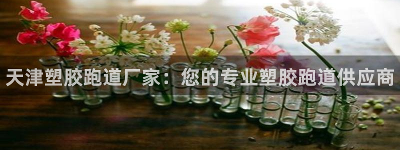 尊龙网址是选访问zd207：天津塑胶跑道厂家：您的专业塑胶跑道供应商