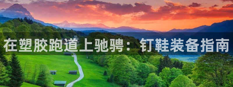 尊龙ag旗舰厅下载：在塑胶跑道上驰骋：钉鞋装备指南