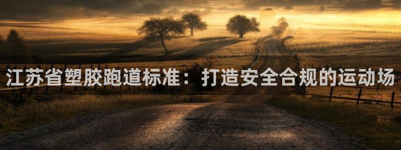 尊龙官网免费下载：江苏省塑胶跑道标准：打造安全合规的运动场