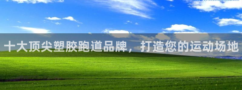 尊龙人生就是博ag：十大顶尖塑胶跑道品牌，打造您的运