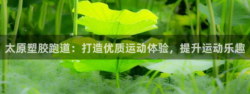 尊龙 5：太原塑胶跑道：打造优质运动体验，提升运动乐趣