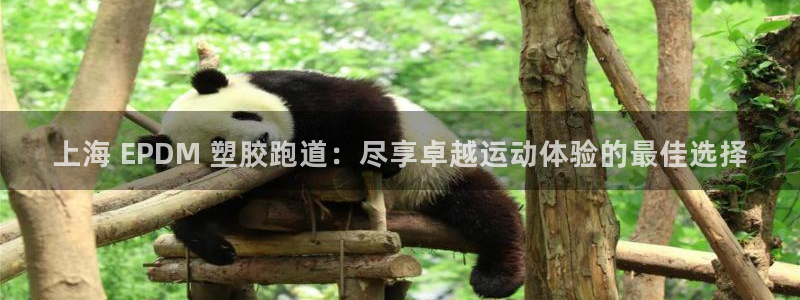 d88尊龙官网手机app：上海 EPDM 塑胶跑道：