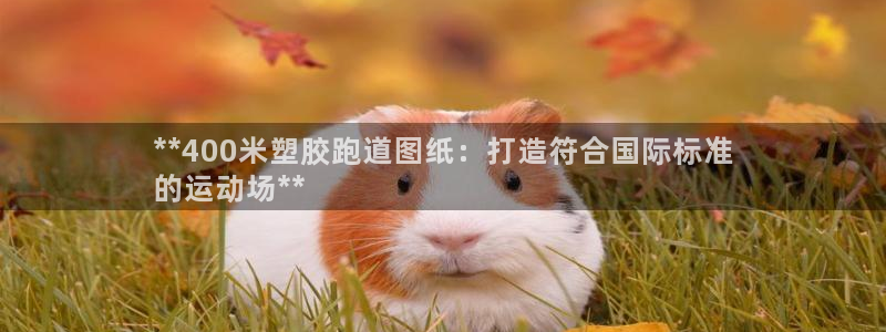 尊龙凯时平台不给出款怎么办：**400米塑胶跑道图纸