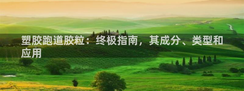 尊龙凯时投诉最狠的方法：塑胶跑道胶粒：终极指南，其成