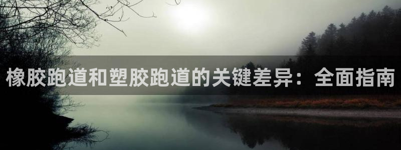 尊龙游戏中心：橡胶跑道和塑胶跑道的关键差异：全面指南