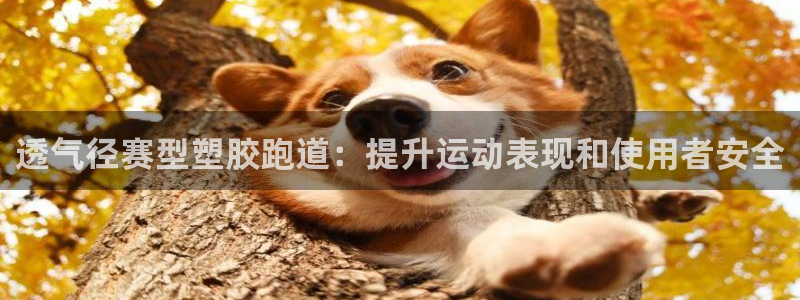 尊龙凯时白家乐：透气径赛型塑胶跑道：提升运动表现和使用者安全