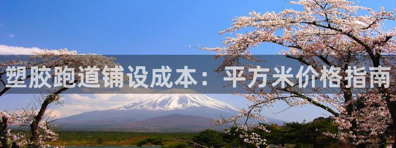 Ag尊龙平台：塑胶跑道铺设成本：平方米价格指南