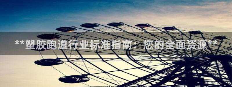 尊龙凯时为什么输了钱：**塑胶跑道行业标准指南：您的全面资源**