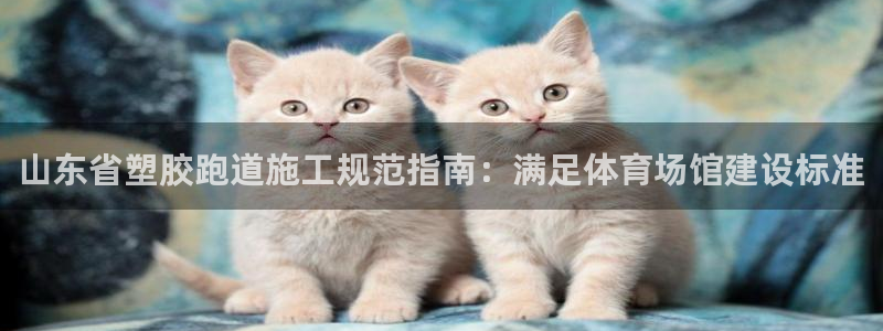 尊龙网站登录：山东省塑胶跑道施工规范指南：满足体育场馆建设标准