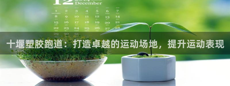 尊龙凯时平台正规吗：十堰塑胶跑道：打造卓越的运动场地，提升运动表现