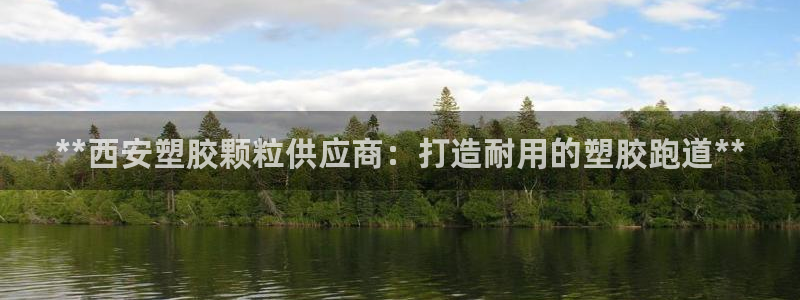 尊龙人生就是博中国区：**西安塑胶颗粒供应商：打造耐用的塑胶跑道**