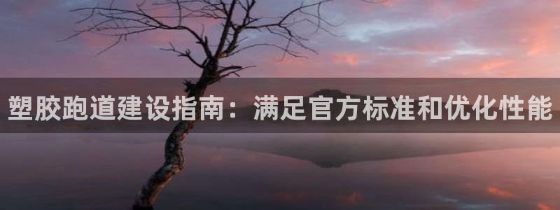 凯时国际app登录：塑胶跑道建设指南：满足官方标准和优化性能