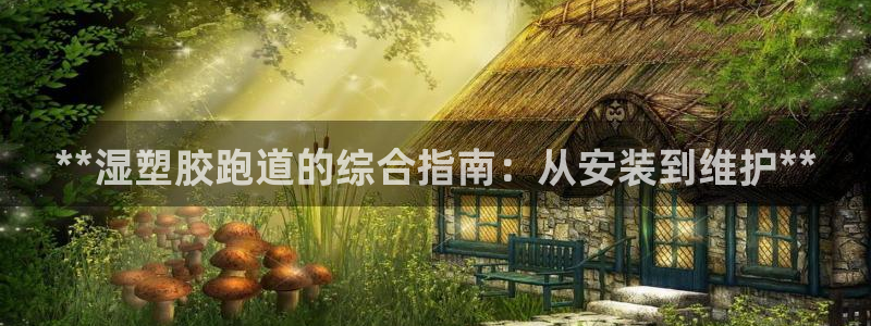 尊龙凯时是直营吗：**湿塑胶跑道的综合指南：从安装到维护**
