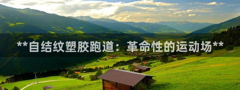尊龙凯时取款不成功：**自结纹塑胶跑道：革命性的运动场**