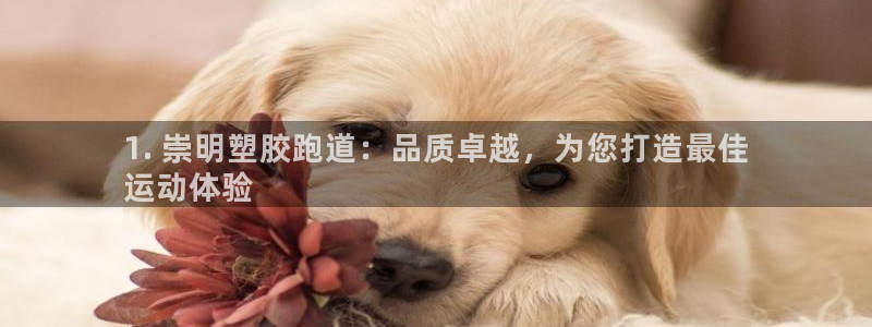 尊龙凯时只输不赢：1. 崇明塑胶跑道：品质卓越，为您打造最佳
运动体验
