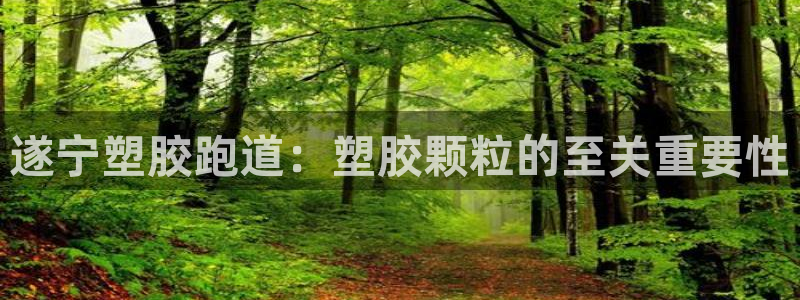 尊龙凯时平台官网