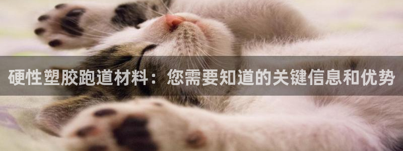 尊龙凯时产品种类：硬性塑胶跑道材料：您需要知道的关键信息和优势