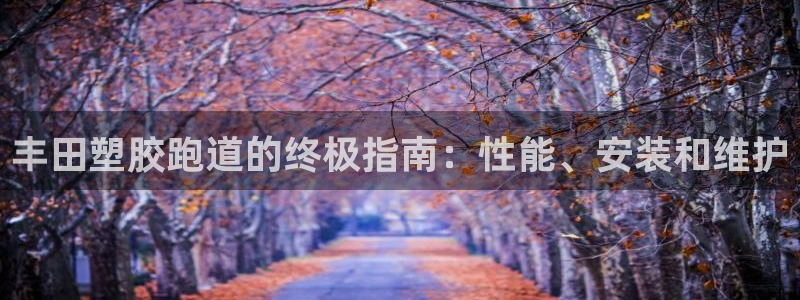 尊龙官网手机版：丰田塑胶跑道的终极指南：性能、安装和维护