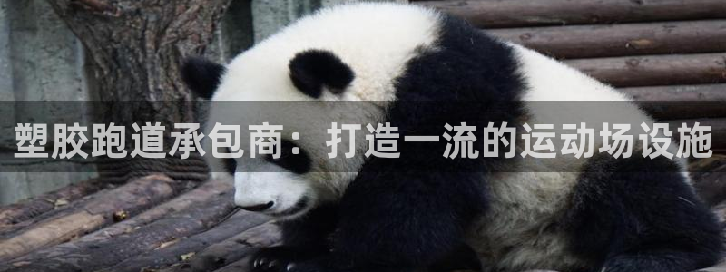 尊龙凯时人生就是搏平台：塑胶跑道承包商：打造一流的运动场设施