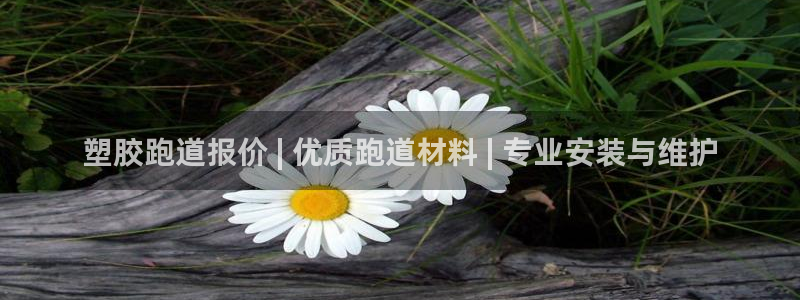 ag旗舰平台尊龙代言：塑胶跑道报价 | 优质跑道材料 | 专业安装与维护