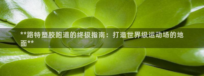 凯时官网下载客户端：**路特塑胶跑道的终极指南：打造