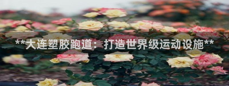 尊龙凯时app安装：**大连塑胶跑道：打造世界级运动设施**