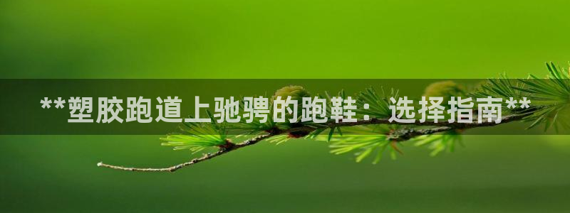 尊龙手机官方客户端下载