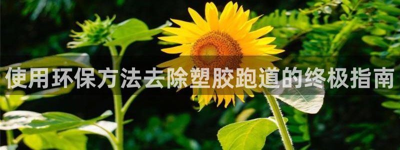 尊龙网站手机下载：使用环保方法去除塑胶跑道的终极指南
