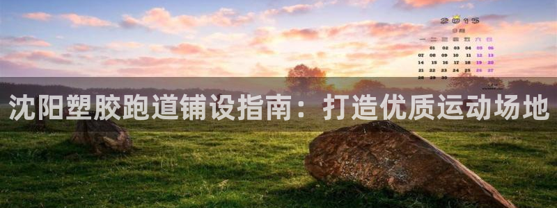 尊龙凯时人生就是搏客户：沈阳塑胶跑道铺设指南：打造优质运动场地